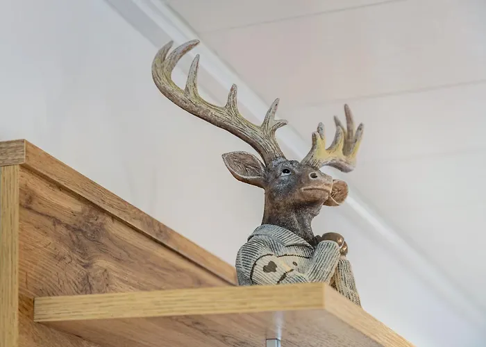 Casa Alotto - Hirsch Apartment